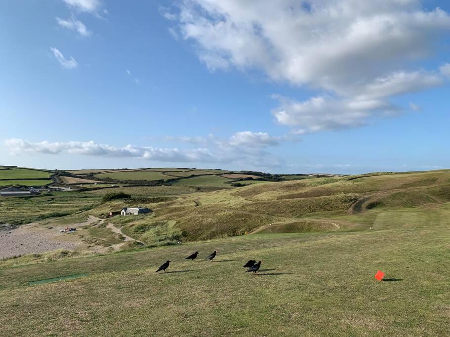 Chough Cottage Helston Zewnętrze zdjęcie